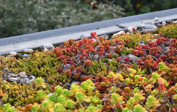 the cost of Rougham green roof installation