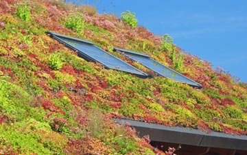 Rougham living roof systems